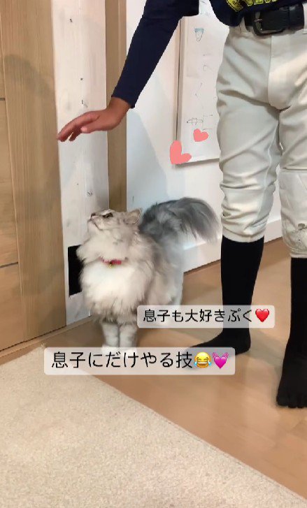 猫と男の子