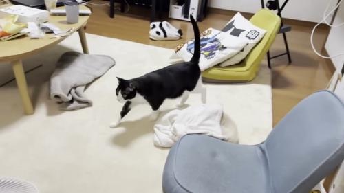 おやつに気づいたひまわり