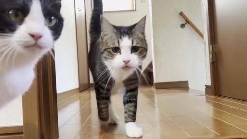 降りてきたおでこ