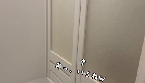 風呂の外にいる猫