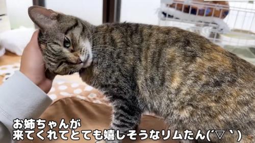 存分に甘えるリムちゃん