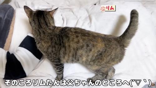 お父さんのもとでおしゃべり