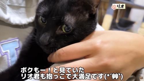 リオくんも抱っこ姿
