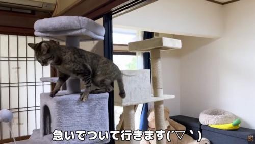 ついていくリムちゃん