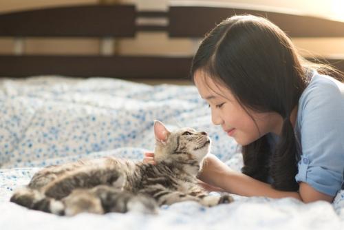 女の子と見つめあう猫