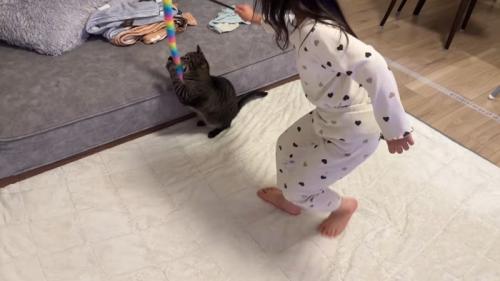 猫じゃらしをキャッチ