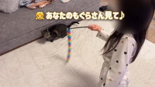 あなたのモグラさん見て♪