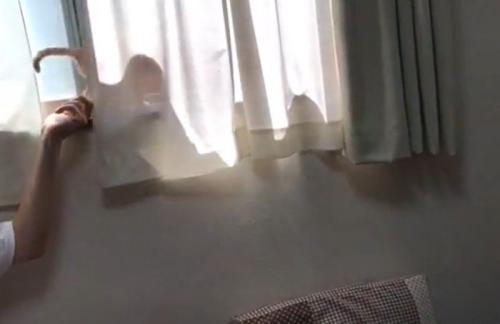 カーテンに映る猫の影