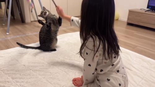 立ち上がる姿