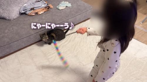 にゃーにゃーーう♪