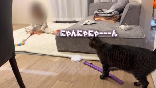 にゃんにゃにゃーーーん