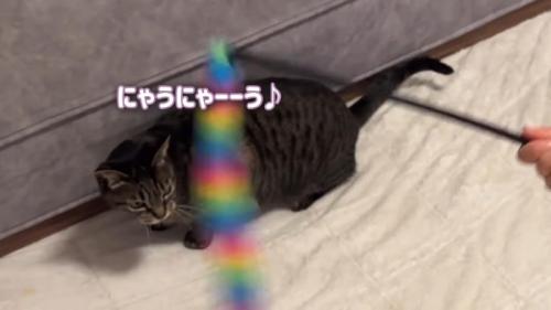 にゃうにゃーーう♪
