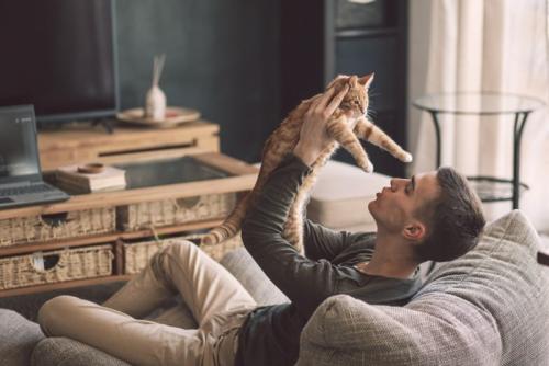 猫を抱き上げる人