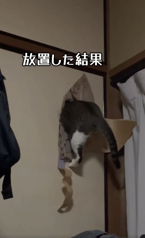 ふすまの穴に上半身を突っ込んでいる猫「放置した結果」