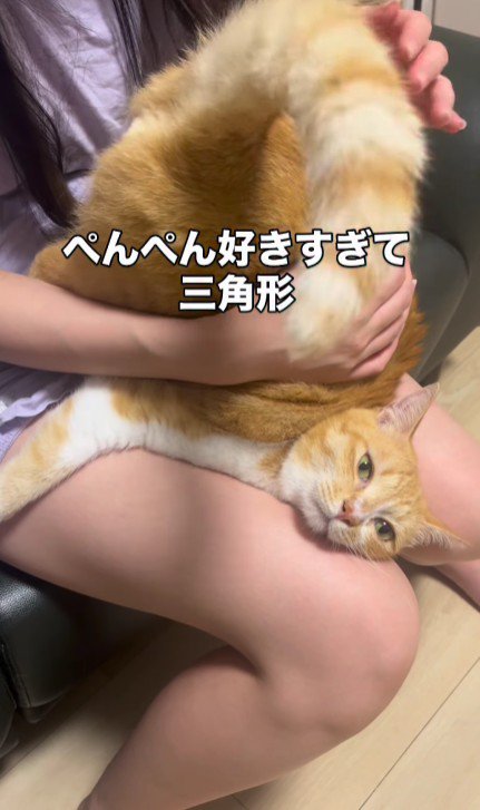 お尻を叩いてもらっている猫