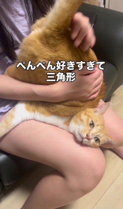 お尻を叩いてもらっている猫