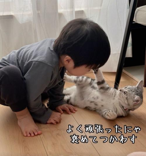 子供のあたまにふれる子猫