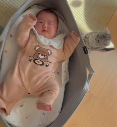 ベビーベッドで寝ている赤ちゃんを見ている子猫