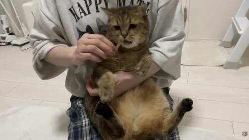 おやつをプレゼント