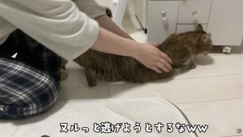 ぬるっと逃げるみにらくん
