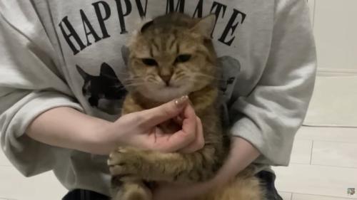 おやつをプレゼント