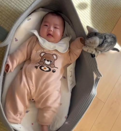 ベビーベッドで寝ている赤ちゃんの手にふれる子猫