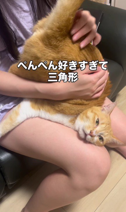 お尻を叩いてもらっている猫