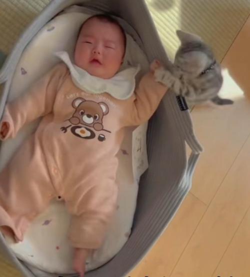 ベビーベッドで寝ている赤ちゃんの手にふれる子猫