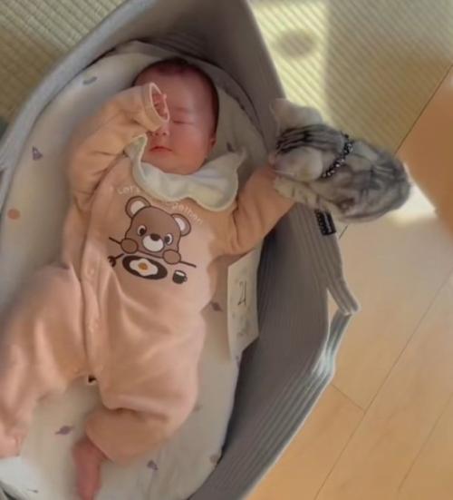 ベビーベッドで寝ている赤ちゃんを見ている子猫