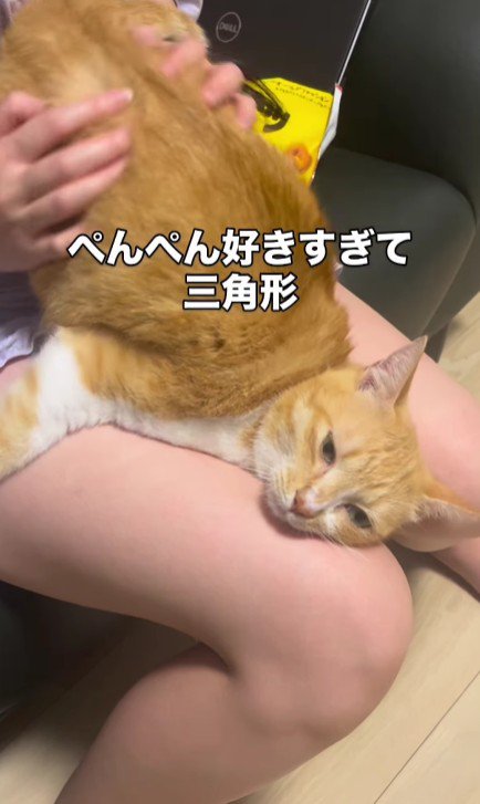 お尻を叩いてもらっている猫