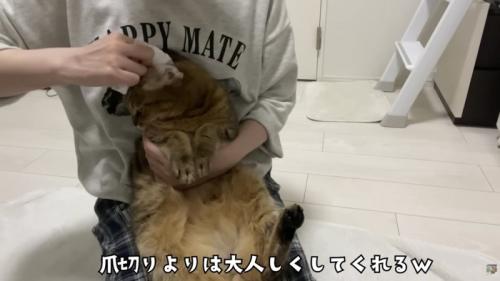 爪切りよりはおとなしい