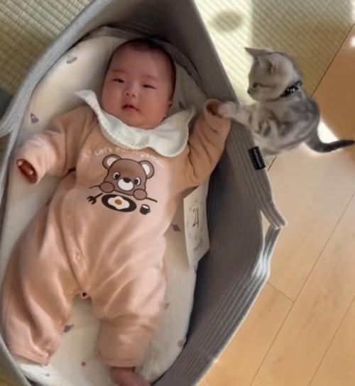 ベビーベッドで寝ている赤ちゃんの手にふれる子猫