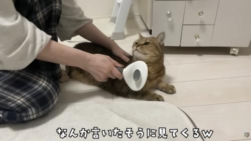 じっとみてくるみにらくん