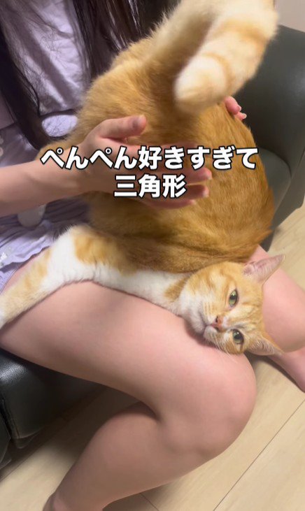 お尻を叩いてもらっている猫