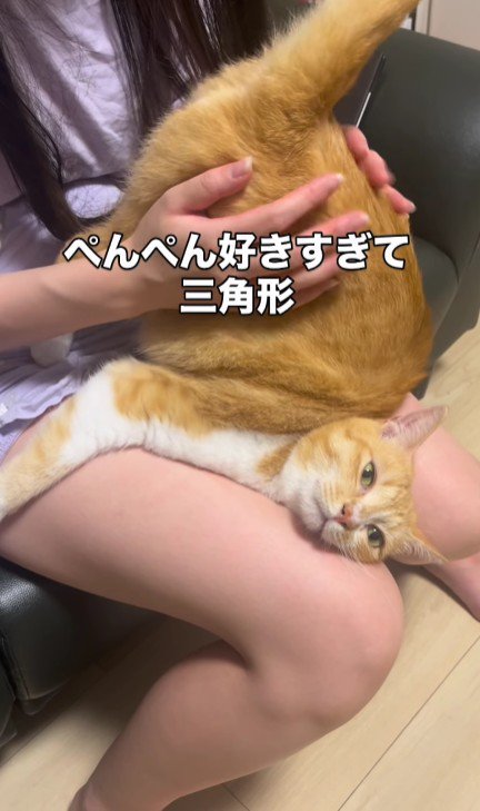 お尻を叩いてもらっている猫