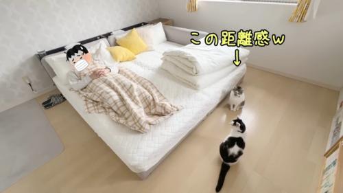 この距離感