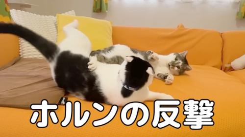 ホルンの反撃