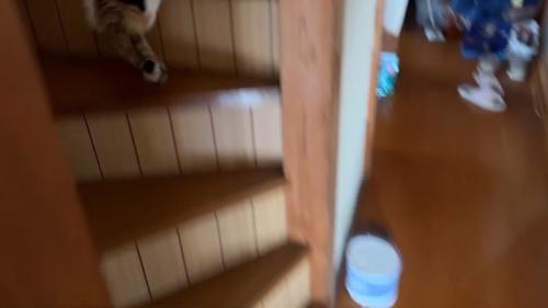 階段