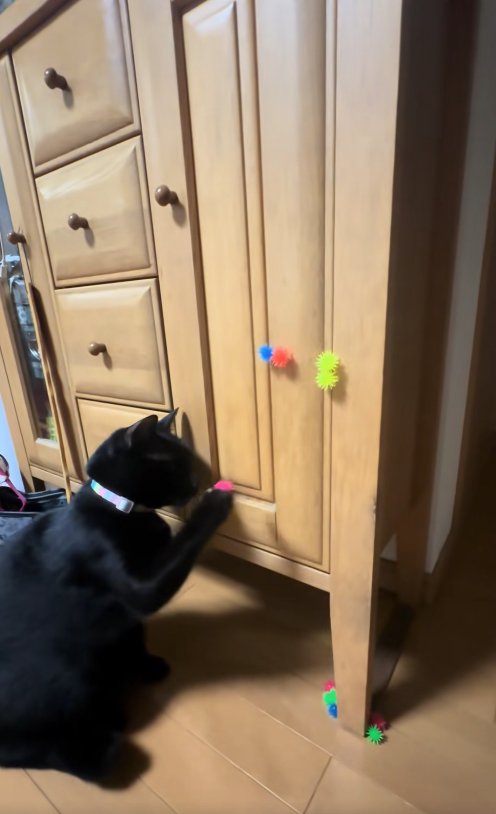 右前足にピンクのボールがくっついている猫