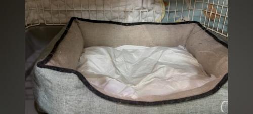 誰もいない様子