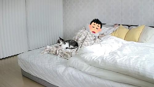 添い寝