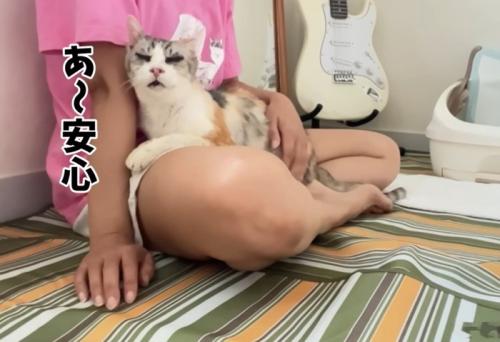 膝で甘える姿
