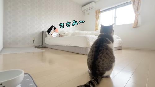 ささみ〜