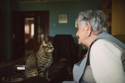 見つめ合う高齢女性と猫