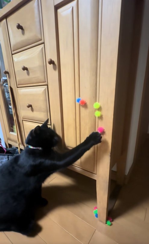 キャビネットについているピンクのボールに手を伸ばしている猫