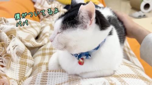 僕がついてるよ