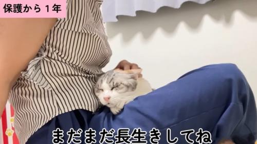 現在のキャリーちゃん