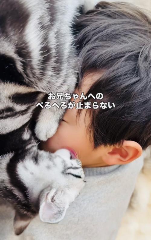 お兄ちゃんの顔を舐める子猫