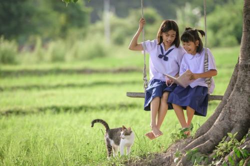 本を読む女子学生と猫