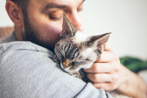 猫を抱く男性